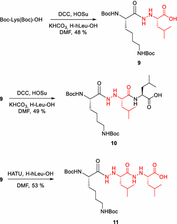 Scheme 4