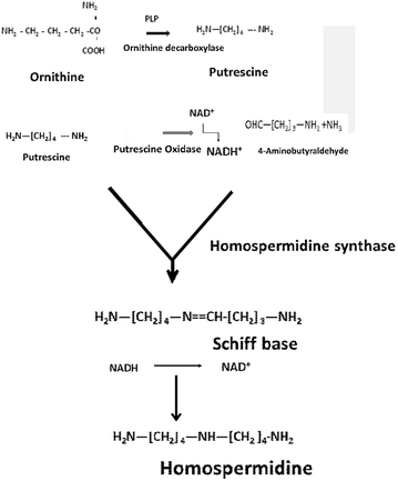 Fig. 7