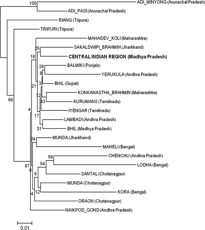 Fig. 1