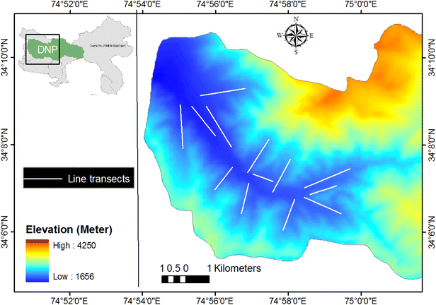 Fig. 1