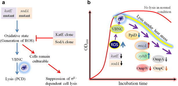 Fig. 5