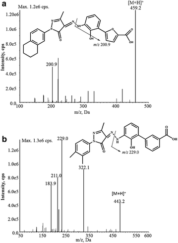 Fig. 1