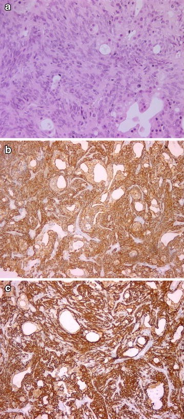 Fig. 4