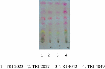 Fig. 5