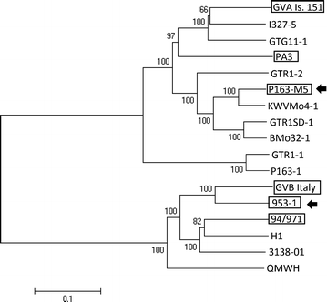 Fig. 1