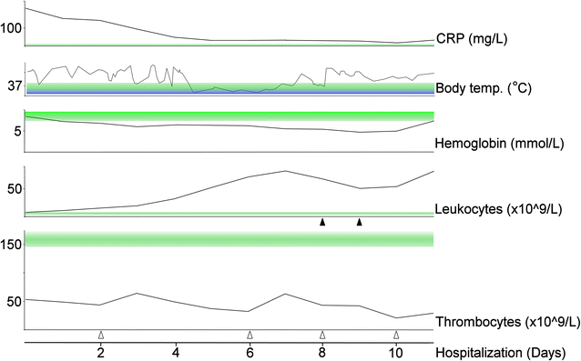 Fig. 1