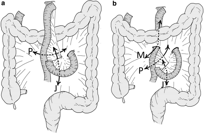 Fig. 5