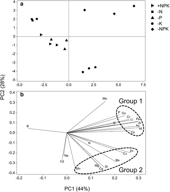 Fig. 4