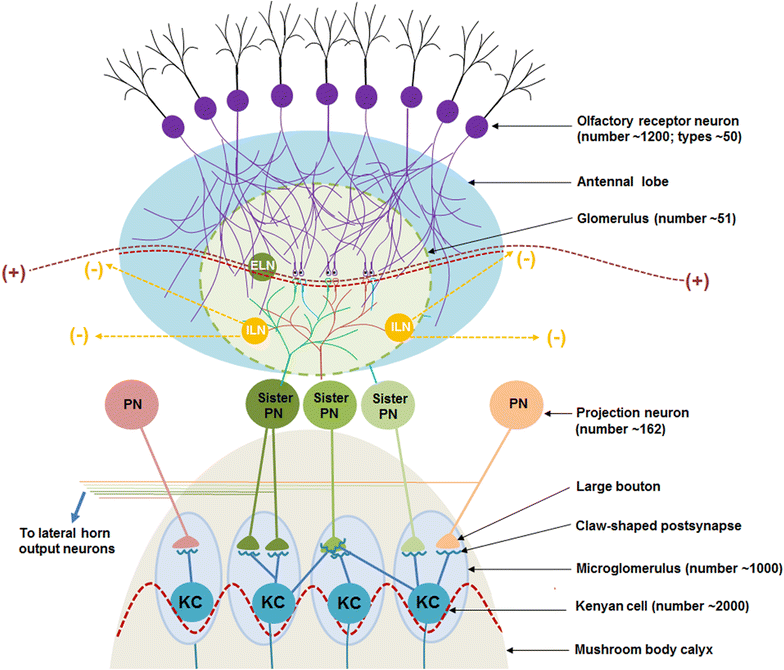 Fig. 10