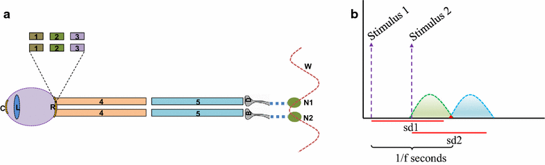 Fig. 2