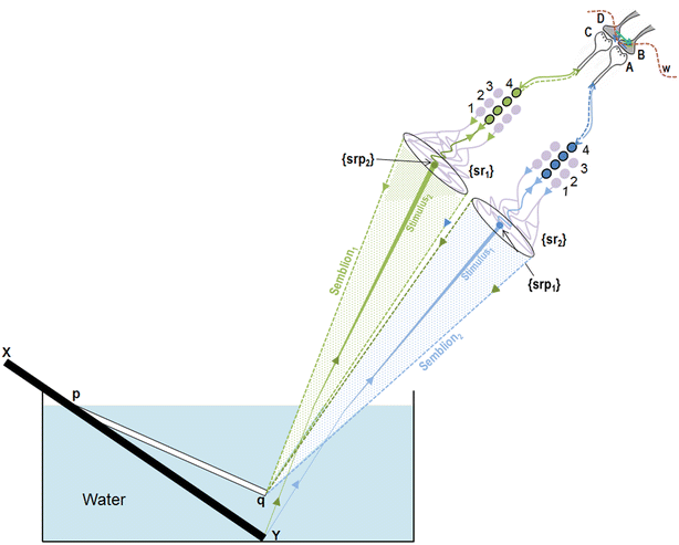 Fig. 6