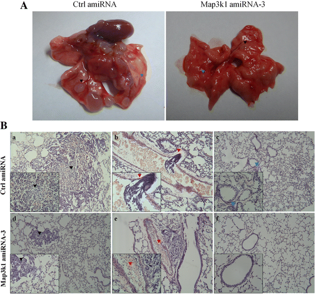 Fig. 7