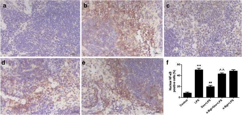 Fig. 5