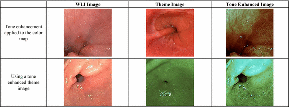 Fig. 9