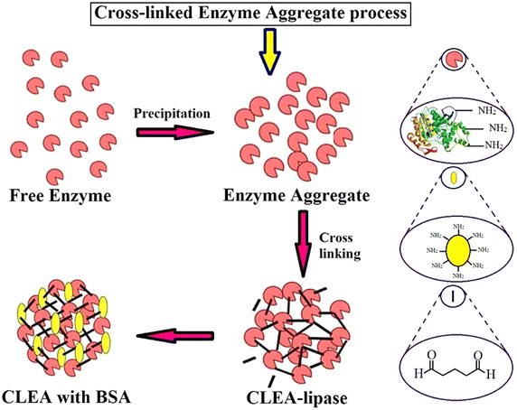 Fig. 3