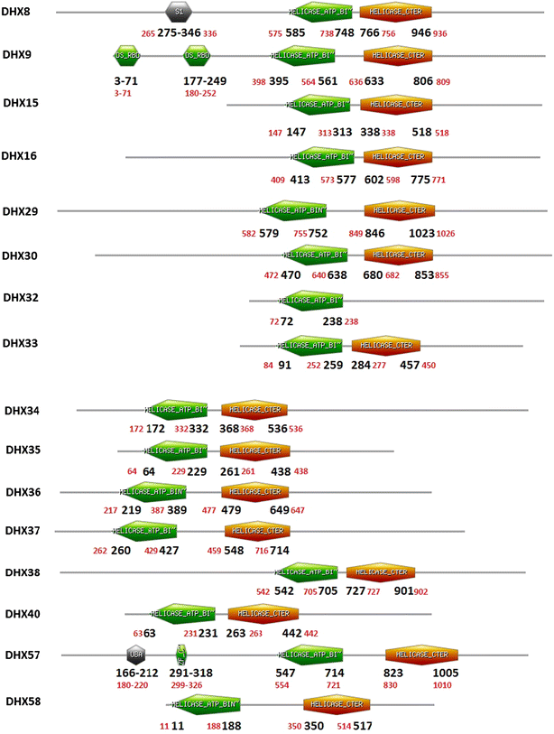 Fig. 7