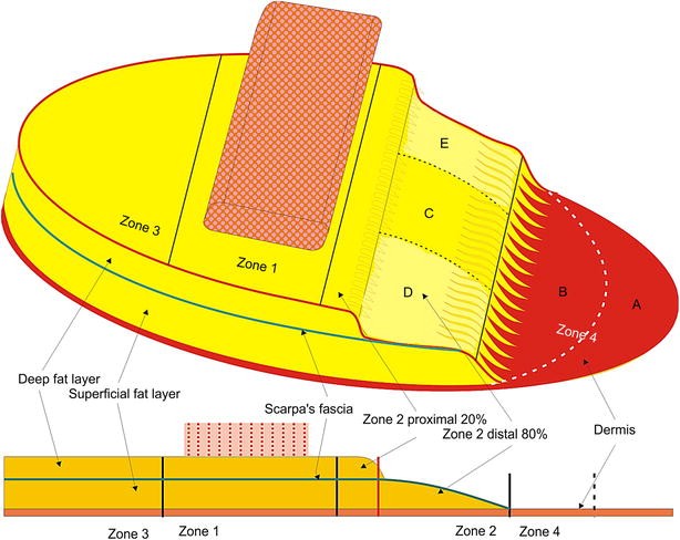 Fig. 1