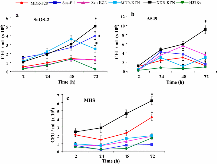 Fig. 2