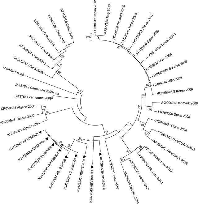 Fig. 2