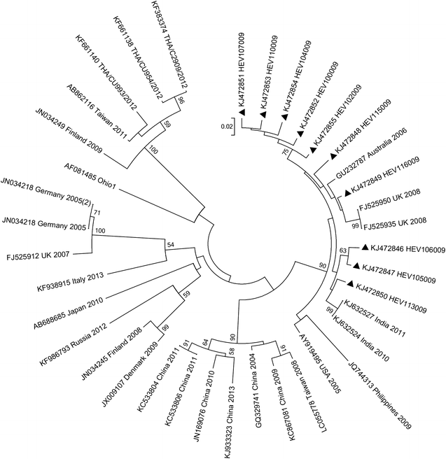 Fig. 3