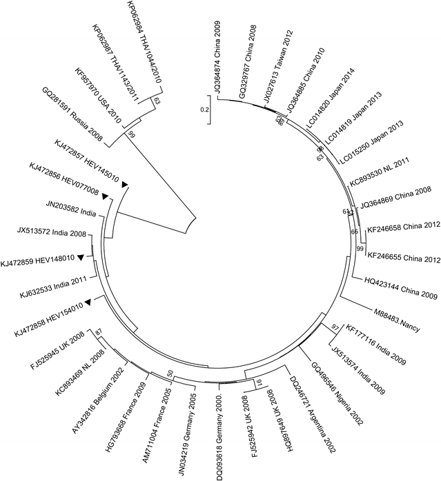 Fig. 4