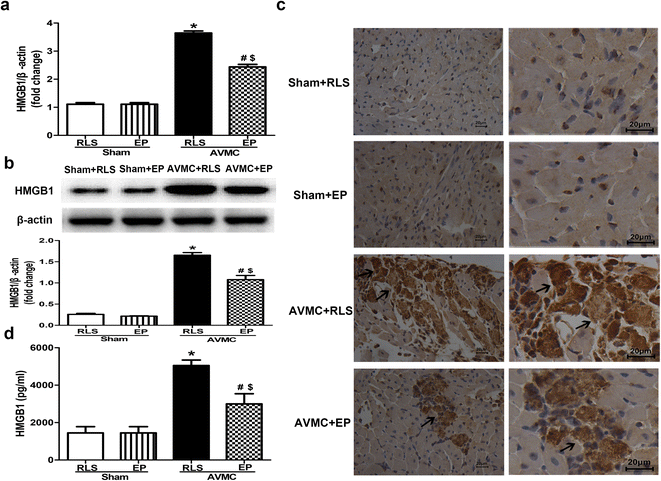 Fig. 4