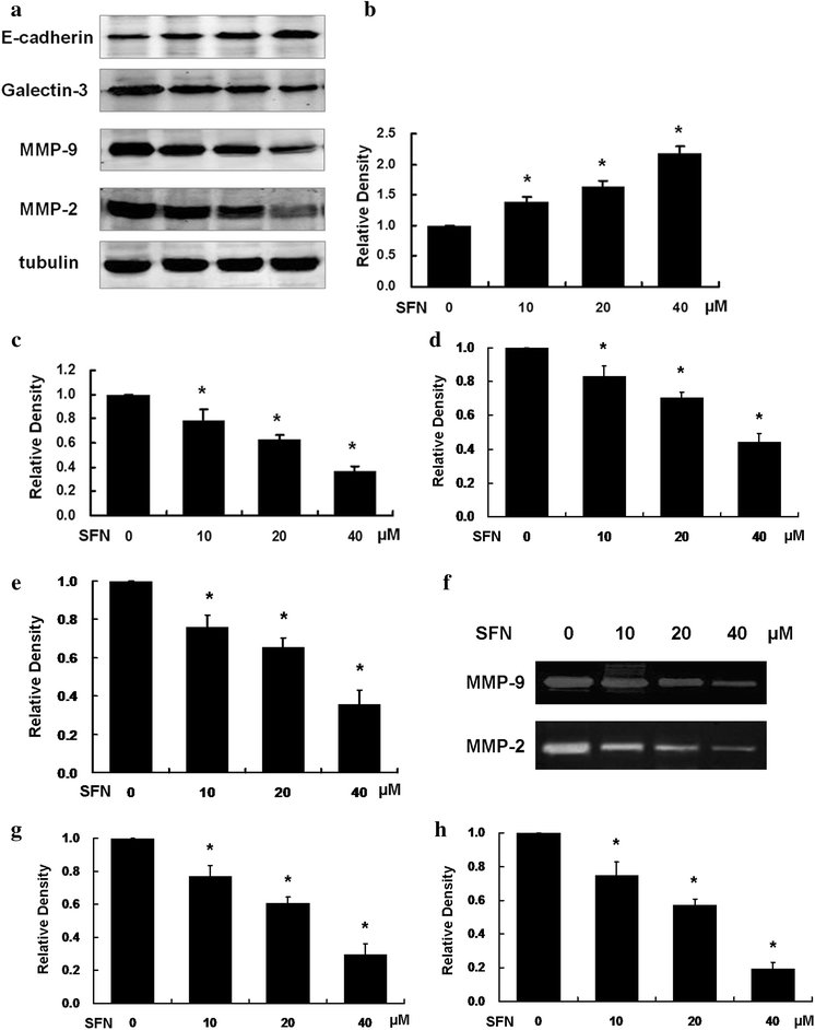 Fig. 6