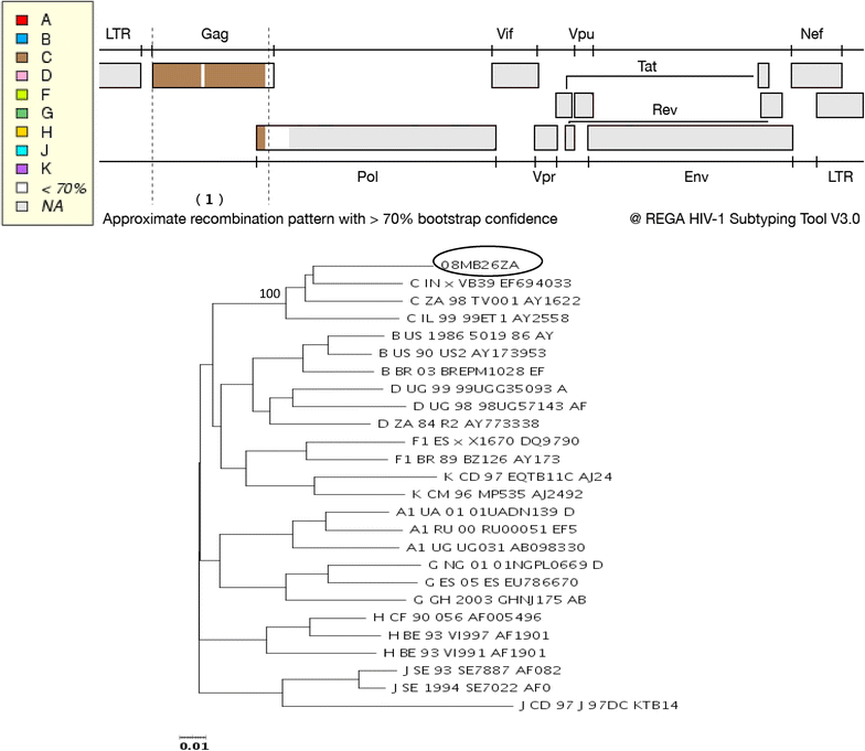 Fig. 8