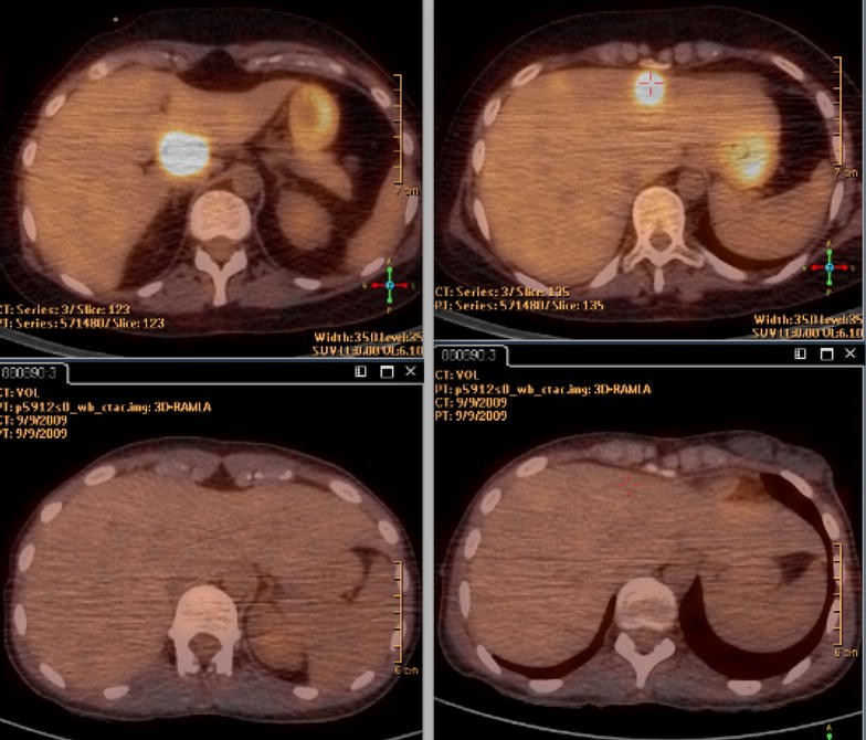 Fig. 3