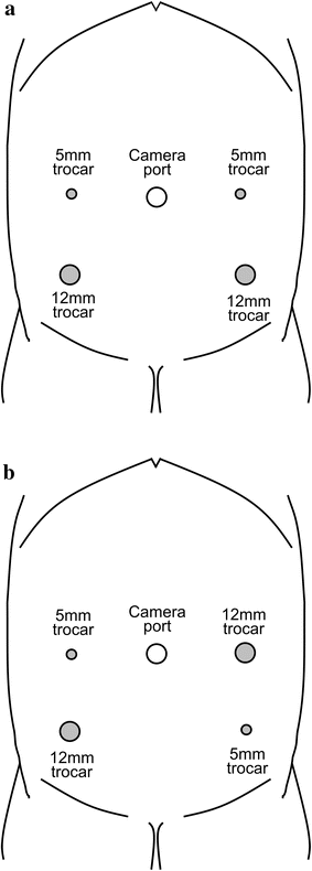 Fig. 1