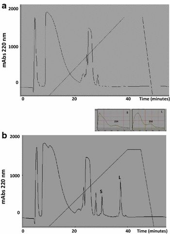 Fig. 2