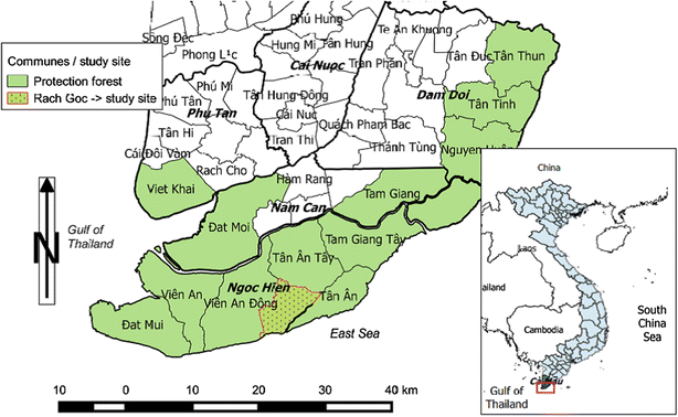 Fig. 1