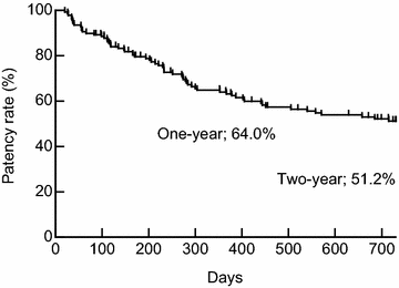 Fig. 1