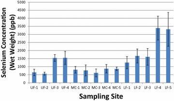 Fig. 2