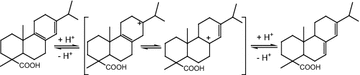 Scheme 1