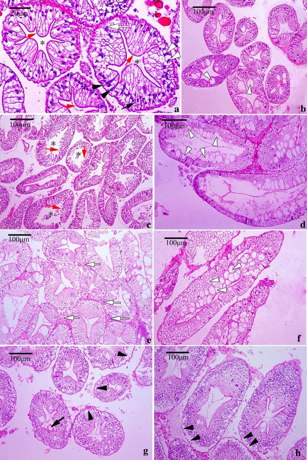 Fig. 4