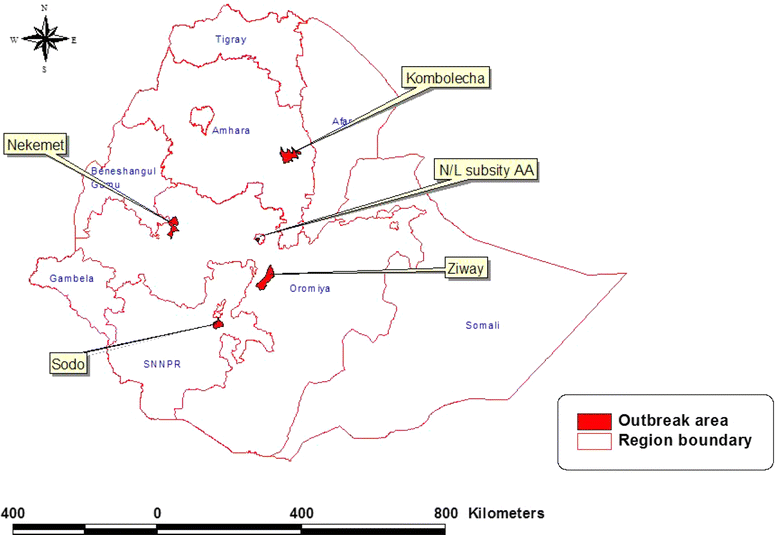 Fig. 1