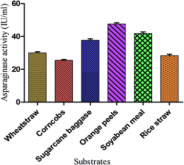 Fig. 2