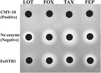 Fig. 4