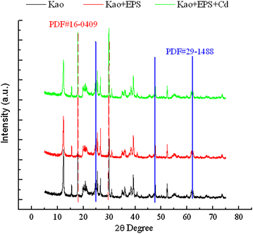 Fig. 3