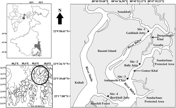 Fig. 1