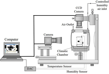 Fig. 1