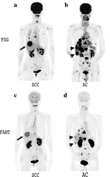 Fig. 6