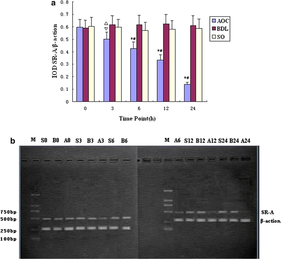 Fig. 4