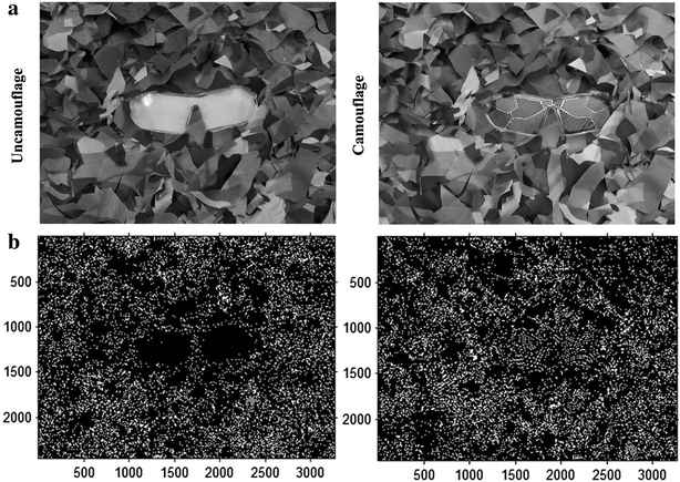 Fig. 7