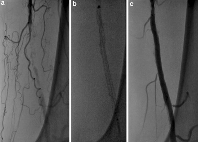 Fig. 7