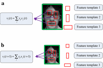 Fig. 3