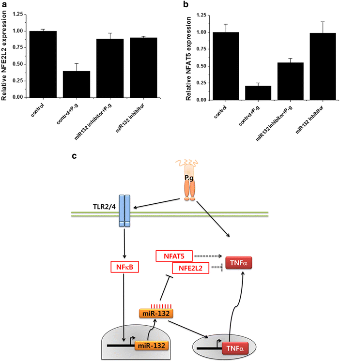 Fig. 4