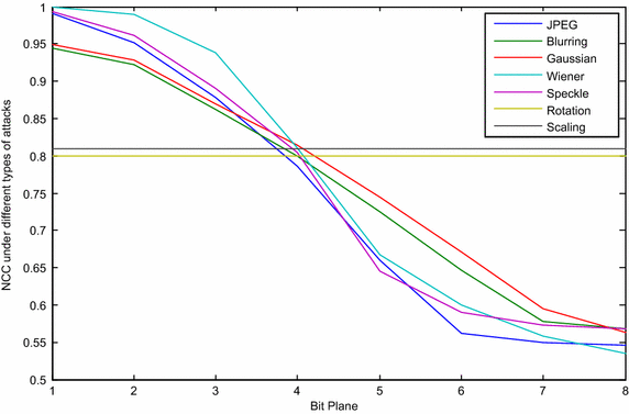 Fig. 8