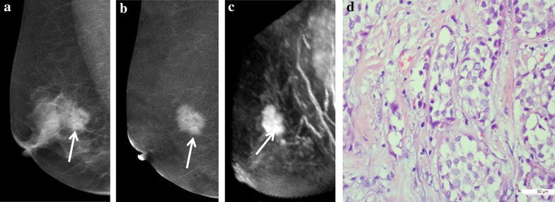 Fig. 3